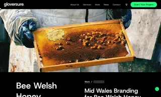Preview of the Bee Welsh Honey Case Study