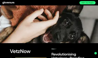 Preview of the VetzNow Case Study