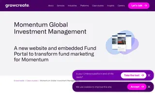 Preview of the Momentum Global Investment Management Case Study