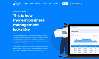 Preview of the Large Company Case Study