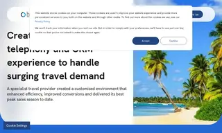 Preview of the Ocean Holidays Case Study