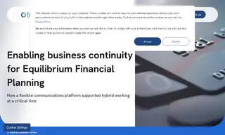 Preview of the Equilibrium Financial Planning Case Study