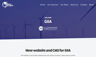 Preview of the GIIA Case Study