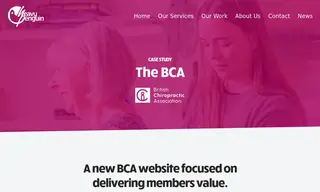 Preview of the British Chiropractic Association (bca) Case Study