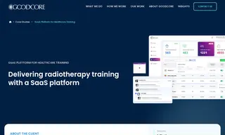 Preview of the Vertual Ltd Case Study