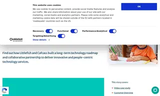 Preview of the Cafcass Case Study