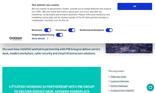 Preview of the PIB Group Case Study