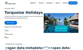 Preview of the The Turquoise Holiday Company Case Study