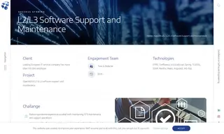 Preview of the Leading European IT Services Company Case Study