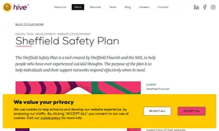 Preview of the Sheffield Flourish Case Study