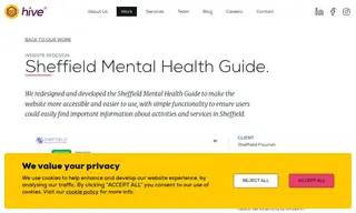 Preview of the Sheffield Flourish Case Study