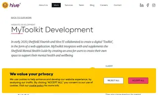 Preview of the Sheffield Flourish Case Study