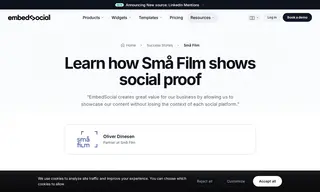 Preview of the Sm√• Film Case Study