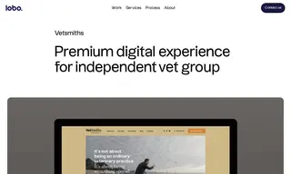 Preview of the Vetsmiths Case Study