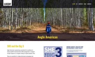 Preview of the Anglo American Case Study