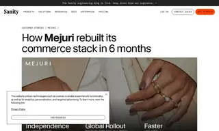 Preview of the Mejuri Case Study