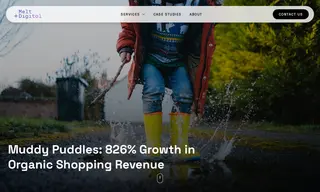 Preview of the Muddy Puddles Case Study
