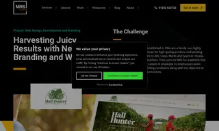 Preview of the Hall Hunter Fruit Pickers Case Study