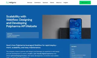 Preview of the Polpharma API Case Study