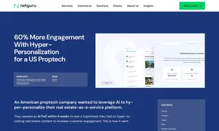 Preview of the Newzip Case Study