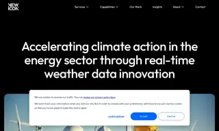 Preview of the The DE Group Case Study