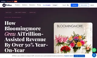 Preview of the Bloomingmore Case Study