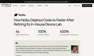 Preview of the Noibu Case Study