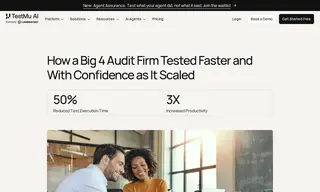 Preview of the Big 4 Audit Firm Case Study