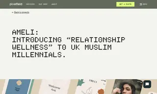 Preview of the Ameli Case Study