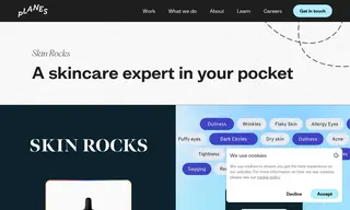 Preview of the Skin Rocks Case Study