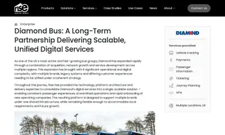 Preview of the Diamond Bus Case Study