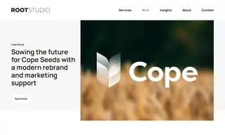 Preview of the Cope Seeds Case Study