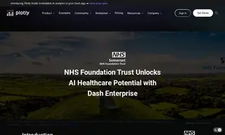 Preview of the Somerset NHS Foundation Trust Case Study