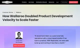 Preview of the Wallaroo.AI Case Study