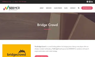 Preview of the The Bridge Crowd Case Study