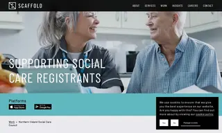 Preview of the Northern Ireland Social Care Council Case Study