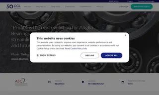 Preview of the Anglia Bearings Case Study