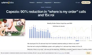 Preview of the Capezio Case Study