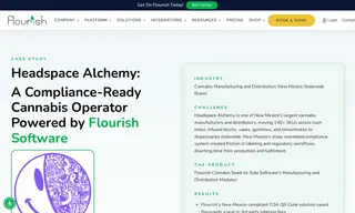 Preview of the Headspace Alchemy Case Study