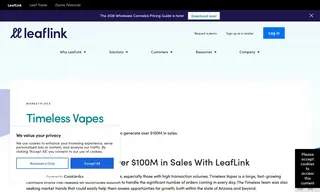 Preview of the Timeless Vapes Case Study
