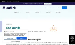 Preview of the Link Brands Case Study