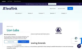 Preview of the Lion Labs Case Study