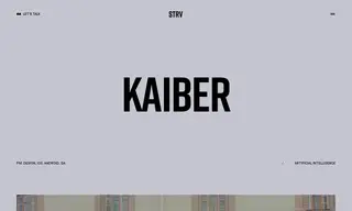 Preview of the Kaiber Case Study