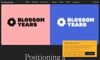 Preview of the Blossom Years Case Study