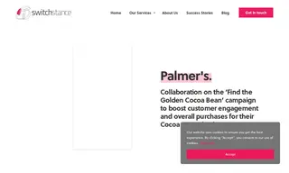Preview of the Palmer's Case Study