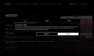 Preview of the Analysys Mason Case Study