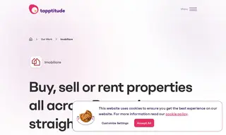 Preview of the Imobiliare Case Study