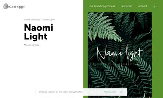 Preview of the Naomi Light Case Study