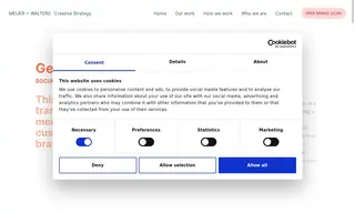 Preview of the GeoMax International Case Study