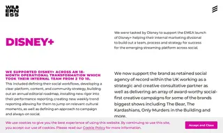 Preview of the Disney+ Case Study